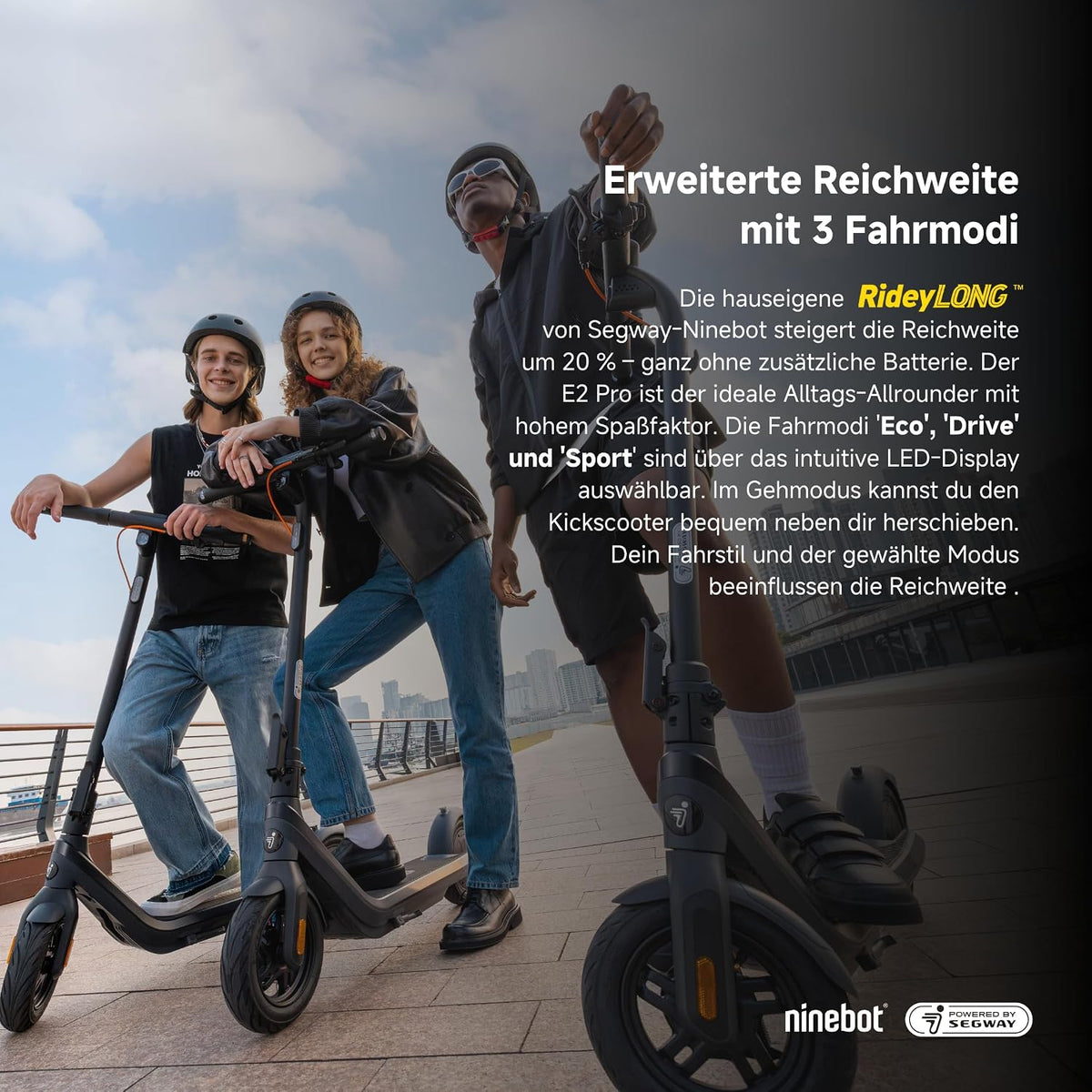 Segway-Ninebot E2 Pro D Adult Road Legal E-Scooter Max 20km/h Speed 35km Range Anti Slip Traction Control System