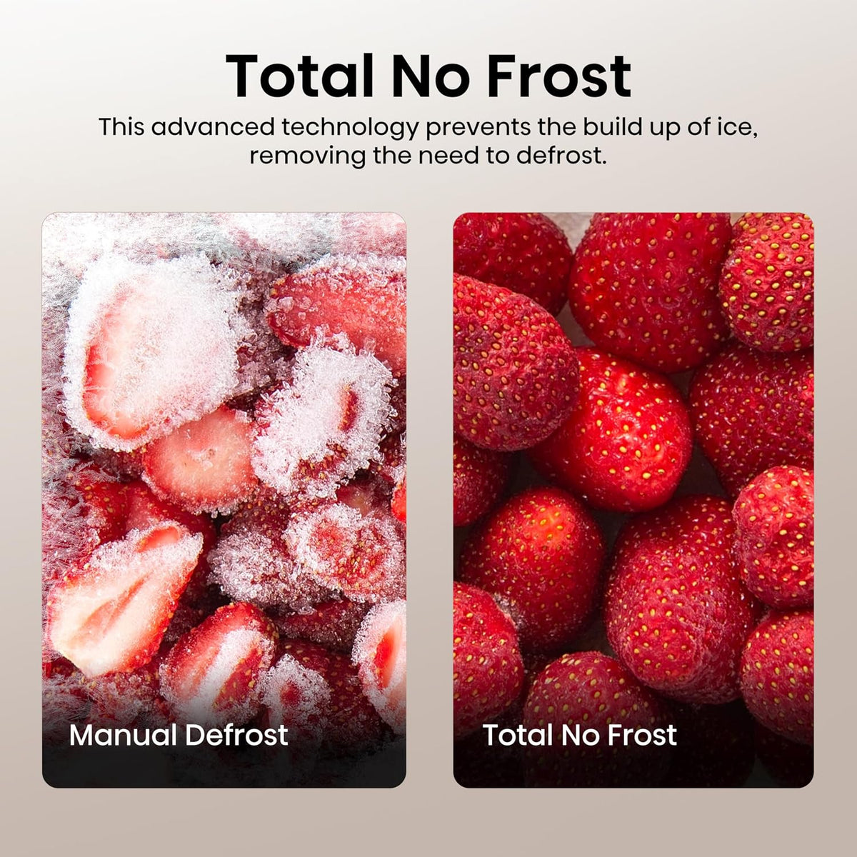 Freistehende Kühl-Gefrierkombination 256L 50/50 No Frost Weiß